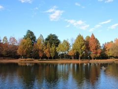 彩の森入間公園　　秋のちょこっと散歩