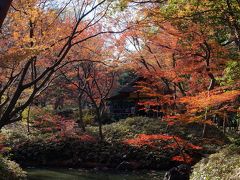 秋の六義園と旧古河庭園　2017