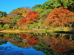 都心の紅葉2017年（日比谷公園、北の丸公園、皇居東御苑ほか）