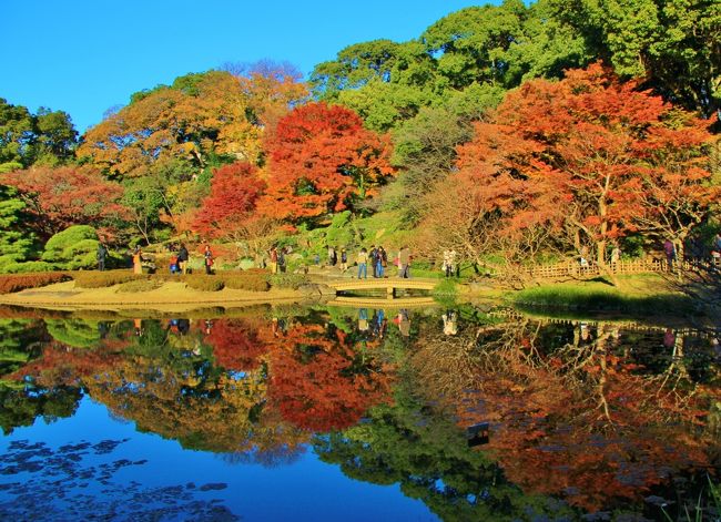 都心の紅葉17年 日比谷公園 北の丸公園 皇居東御苑ほか 丸の内 大手町 八重洲 東京 の旅行記 ブログ By 温泉大好きさん フォートラベル