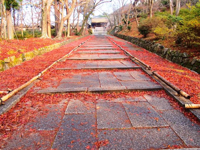 2017年最後の紅葉を求めて１泊二日京都の旅。敷きモミジの毘沙門堂門跡と渉成園 （枳殻邸）と京都のお蕎麦