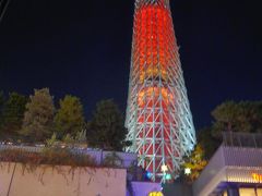 初東京の孫と東京観光～１日目・・・東京スカイツリー&すみだ水族館!!