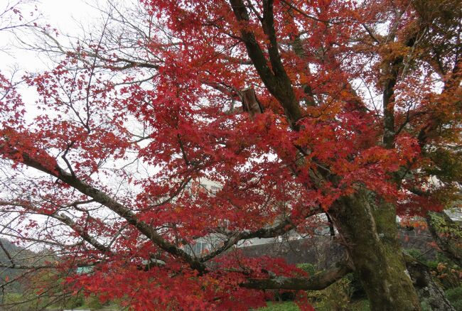 2017秋、楠木正成所縁の日本百名城(5/9)：下赤坂城(1)：千早城から下赤坂城へ、下赤坂城址碑