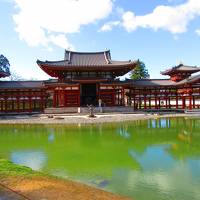 そうだ、京都行こう。”冬の京都・お茶の里、宇治と花灯路、嵐山の旅”　中学の修学旅行以来だよ、宇治編