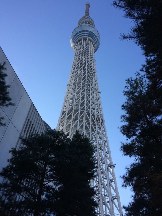 コンサート鑑賞の為、土日で東京へ。ついでに友人宅と東京スカイツリーに登頂。<br />新幹線車内からは見事な富士山を拝むことが出来た。<br />慌ただしくも、終始天気に恵まれてハッピーな小旅行となりました。<br />