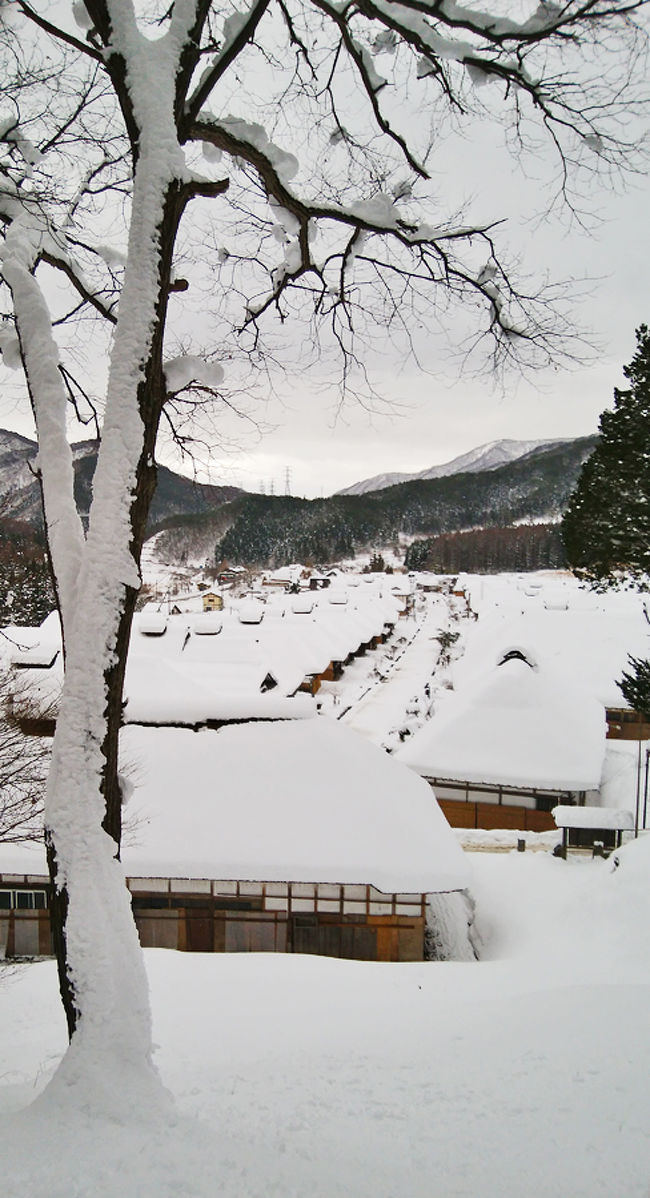 やはりこういう伝統建築には雪が似合うと思います。宿場町はあまり行ったことがなかったので、雪の時期に来れたことが嬉しかったです。茅葺き屋根には、やはりこんもり積もった雪が合いますね。