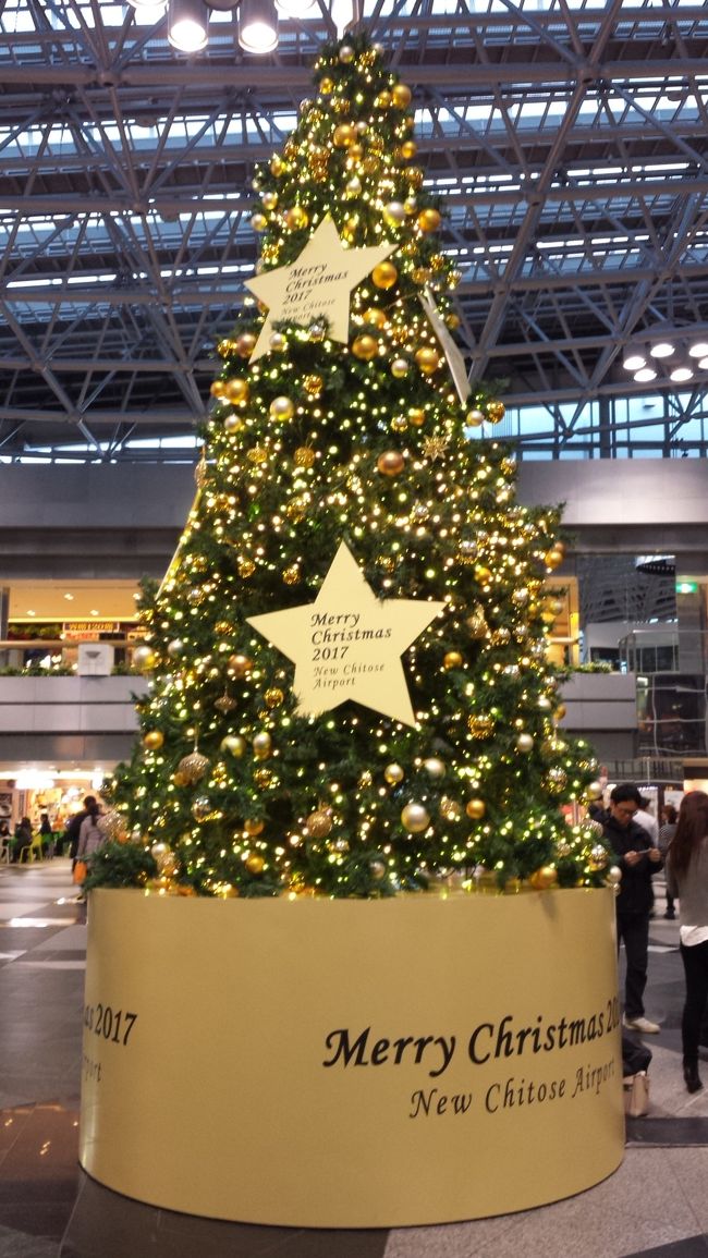 今年最後の楽行は、大好きな千歳空港に行ってきました。<br />冬休みを控えているので、羽田も千歳も比較的空いています。<br />千歳では温泉入って、お決まりの北海道土産を買う予定です。<br /><br />羽田12:00 ~ 新千歳13:35<br />新千歳17:30 ~ 羽田19:10