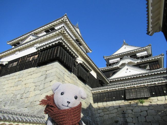 06足早に　小春日和の　城観光（プチ松山の旅その６）