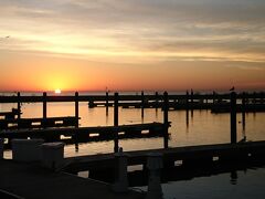 RSNA出張withちょっと観光