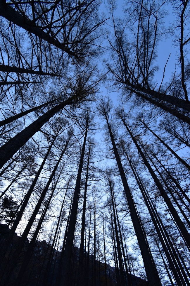 閉山前に上高地へ。冬本番前の静けさが漂っていました。