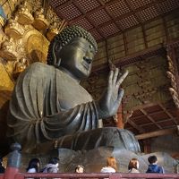 春日若宮おん祭りと東大寺・ならまちマイナー街歩き（一日目）～保延2年(1136年)、関白藤原忠通によって始められ、以降途切れることなく続くおん祭り。地の底から湧き上がるようなうめき声は、まさに身も毛もよだつ神への畏怖。深夜の暗闇の中で執り行われる遷幸の儀はこの世のものとは思えません～