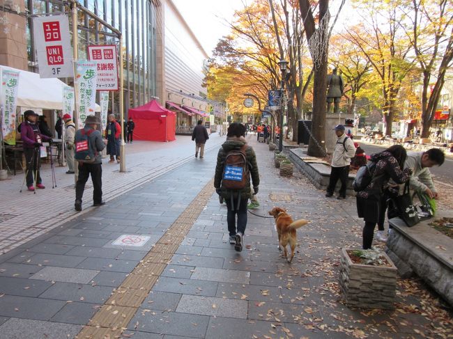 今年も東京都府中市にて<br />ウォーキング大会「歩いて知ろうわがまち府中」が開催されました。<br />1.いけいけコース　　　　　（約20km）<br />2.るんるんコース　　　　　（約13km）<br />3.ポールウォーキングコース（約 9km）<br />4.ファミリーコース　　　　（約 6km）<br />5.ガイドコース　　　　　　（約 6km）<br />と5つのコースがあり、昨年に引き続き「るんるんコース（約13km）」に家内と愛犬とで参加してみました。<br /><br />今年の「るんるんコース」は<br />府中FORIS（府中駅）→本宿東交差点→第二都市遊歩道→MINANO（分倍河原駅）→善明寺→是政橋→府中多摩川かぜのみち→小柳公園→タマロード商店街（多磨霊園駅）→東府中駅→JRA東京競馬場→安養寺→大國魂神社→府中FORIS<br />というコースです<br /><br />府中市内をぐるっと周りながら天気にも恵まれ、楽しくウォーキングが出来ました