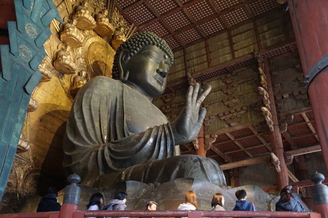 奈良と祭りってあんまりイメージがなかったのですが、春日若宮おん祭。初めて拝見しましたが、奈良の古い歴史を強く感じさせる素晴らしい祭りでした。<br />一般的な見どころは昼間のお渡り。時代行列のような華やかな行列は馬に乗った古武士や大名行列のやっこさんの演技も楽しいです。ただ、圧巻は深夜に行われる遷幸の儀(せんこうのぎ)。深夜の真っ暗な闇の中、若宮から御旅所まで神様が下りてくるのですが、雅楽の音が聞こえ始めて松明の灯りが近づいたと思ったら、それに続いて、オーオーともヨーヨーとも聞こえる地鳴りのようなうめき声とともにご神体を担いだ大勢の人たちがやってきて、一気に御旅所の中になだれ込む。この間、光の出るデジタル機器を含め照明器具の使用や写真・動画の撮影は一切禁止。すさまじいおごそかさと神秘的な空気。夢かうつつか。これからしばらくは思い出して、たっぷり余韻に浸れそうな神事でした。<br /><br />一方で、日中はおん祭りと関係なく、時間に余裕がある中ののんびり観光。久々の大仏殿のほか、この日は良弁の亡くなった12月16日に当たっていたこともあって、開山堂と俊乗堂、それに法華堂の執金剛神像の特別公開も拝見することができました。<br /><br />奈良はやっぱりいい。天皇の威光が輝いて官の力が国家を支えていた時代。京都とは違うずっしり重い歴史の厚みをまた感じれたように思います。