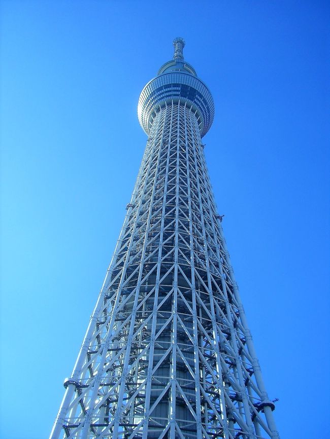 直前まで天気予報はこの日だけずっと曇りでしたので東京の町も雲の下に隠れて何も見えないのではと想像していましたが、予報が見事に外れてくれてラッキーでした♪