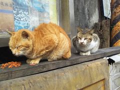 お礼参り台北。