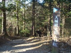 天城山登山（万三郎岳～万二郎岳周回コース）