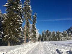 オーストリアチロルの美しい村タンハイム。