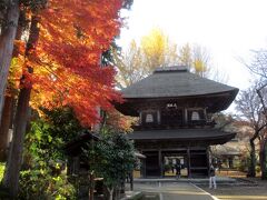 東京の紅葉　広徳寺　2017年の秋