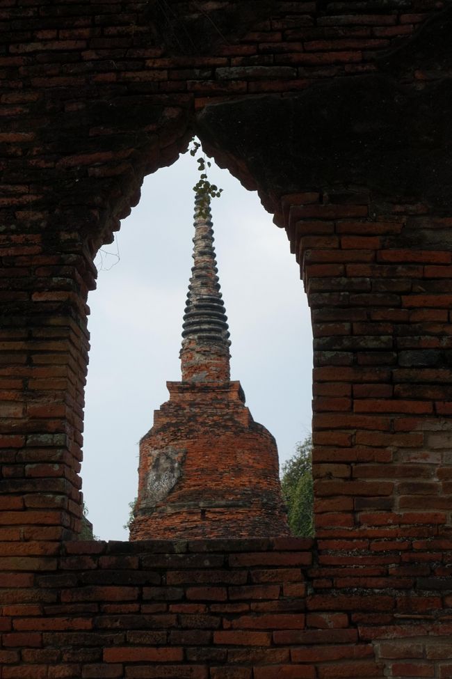 タイに行ってみたかったので念願がかないました。<br /><br />新千歳空港10:00発タイ航空TG671便<br />宿泊場所：THE WESTIN GRANDE SUKHUMVIT<br />帰国便：タイ　スワンナプーム国際空港23:55発TG670便<br /><br />JTBオプショナルツアーアユタヤ半日観光<br />ワットポー、ワットアルン観光<br />街歩き<br />