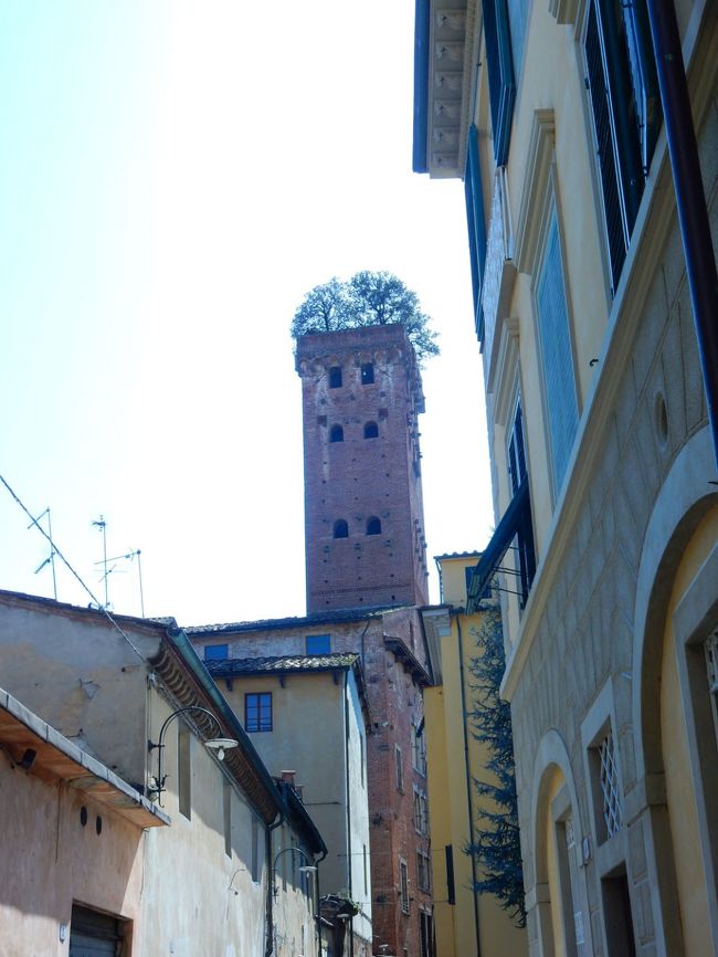 塔の上に森がある　　グイニージ塔　ルッカ　３　イタリア 14