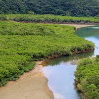 奄美大島②マングローブ原生林でカヌー体験・あやまる岬・奄美パーク