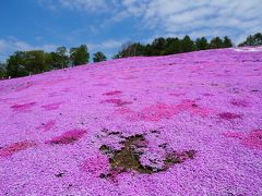 北海道二人旅～釧路・根室・知床～ 2017