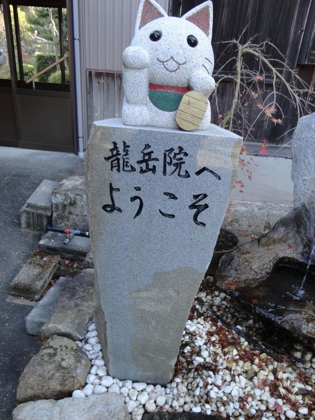 愛知県新城市にある龍岳院という曹洞宗のお寺の御朱印が素敵だと話題になり、地元テレビでも取り上げられました。<br />6月にはじめていきましたが、なぜか毎月出かけています。<br />ネットでも噂になり、日本各地からも御朱印を求めてくるようです。<br />御朱印は、毎日いただくことができません。ご住職がいるときだけいただくことができます。以下のHPに御朱印をいただくことができる日と時間が乗っていますので参考にしてください。<br />なお、一人ひとりに手書きしていますので、待ち時間がかなり長くなることもあります。私は、最高2時間待ちました。<br /><br />https://ryugakuin.com/