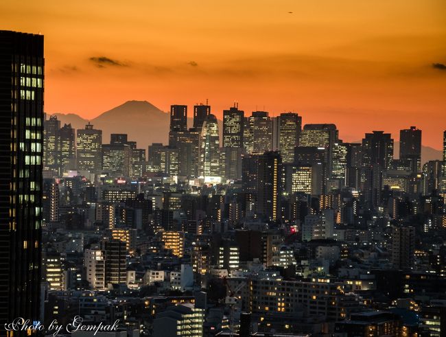 　7年ぶりにリタイア直前の職場の仕事仲間との忘年会で上京し、そのついでの撮影小旅行である。<br />空気が乾燥した冬晴れの好天。絶好の都市夜景撮影の好条件なので、大都会の高層ビル群の灯りと富士山のコラボ撮影のため、文京区役所が入居するシビックセンター展望室へ。水道橋駅からシビックセンターに向かう途中、東京ドームシティを通過。ここでは、恒例のイルミネーションがクリスマスシーズンの華やいだ雰囲気を盛り上げている。最近イルミネーションには興味が失せていたが、無料だというので、せっかくなので久しぶりのイルミ撮影も楽しんできた。