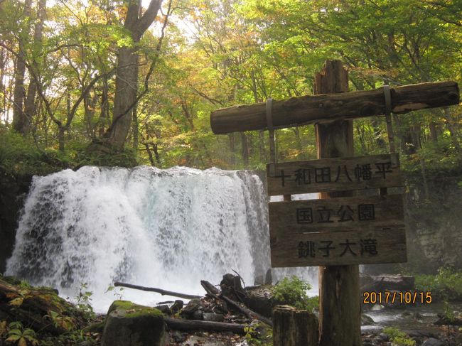 一泊二日で東北を代表する十和田湖、奥入瀬、五能線、白上山地をまわってきました。<br /><br />東京駅７時１６分出発で帰りは２２時着<br />紅葉真っ盛りの青森を駆け足でまわってきました。<br /><br />