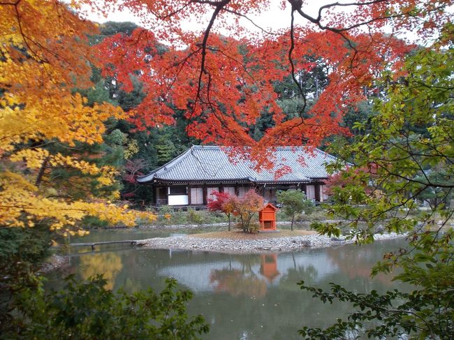 平安の極楽浄土から奈良時代の遺産に至るまで京都府内の加茂から奈良は近いのかと思いつつ<br /><br />7月31日<br />極楽浄土の庭、浄瑠璃寺を見たくなり、加茂へ出かけました。岡田鴨神社、岩船寺を経て、ようやくたどり着いた浄瑠璃寺は静寂の中にあった。宝池、の見事な州浜、荒れ放題の庭もある中でよく整備がなされている。<br /><br />このあたりは平安時代の後期に奈良の興福寺の別所として多くの寺院があったらしい。石仏もたくさんあるようだ。奈良へまわろうと思ったけれど、さすがの暑さで、.....<br /><br />秋の紅葉真っ盛りの時期、11月19日、再び当尾の浄瑠璃寺へ。浄瑠璃寺も紅葉は見事であった。紅葉のたけなわの中静けさに極楽浄土の平安の世をおもんぱかる。さらに、石仏群を見て回り、夕刻奈良まで歩きつきました。近鉄奈良に到着した時にはもう日がとっぷりと暮れていた。<br /><br />12月４日<br />再び奈良を歩きました。依水園へ<br />庭は二つに分かれていて前園、後園にわそれぞれが異なった景観を見せる。大仏殿には過去に２回ほど訪れているので今回は中には入らず池の周囲をめぐり、東大寺の他の伽藍へ<br /><br />さらに２月堂、３月堂から春日大社、お決まりの観光コースへ、その先は興福寺、奈良町へ<br /><br />寒い中を歩きました。