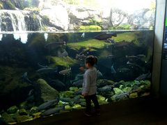 真冬に子供と那須塩原で遊ぶ！(水族館)