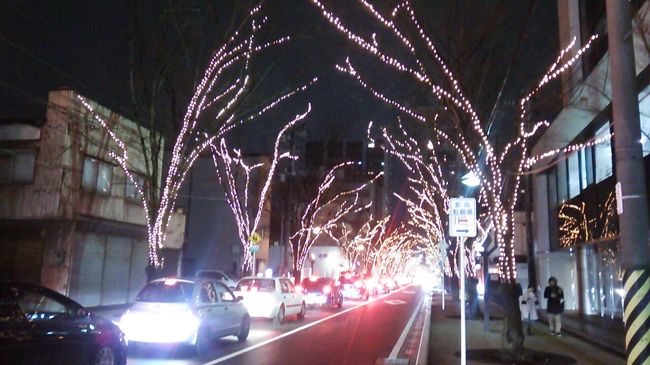 　ご覧戴きましてありがとうございます。<br />　2017年12月23日現在、新潟市内では「NIIGATA光のページェント」というイベントが開催されています。<br />　このイベント、JR新潟駅南口すぐのところにある「けやき通り」という通り沿いの一部区間で木々に電球が灯され、幻想的な雰囲気を楽しめるというイベントです。<br />　今回は2017年12月23日の土曜日にその「NIIGATA光のページェント」を観覧した時の様子をご覧戴きます。<br />　なお今回の旅行記も写真のコメントの記載を割愛したいわゆる手抜き旅行記ですが、ご了承の上、よろしければご覧ください。