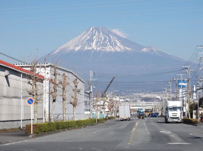 名古屋から東海道新幹線で東京に向かうと富士山は常に左側に見えます。当たり前ですね。では、東海道線(在来線)だとどうでしょう？　富士山が右側に見えるポイントが静岡県内に何ヶ所かありますが、実際に出合うとちょっと感激します。私が知っているのは、清水付近、由比付近、富士川付近です。<br />さて、江戸から京都に向かう旧東海道ではどうでしょうか？　もちろんほとんど右側に見えます。唯一富士山が街道の右に見える場所があって左富士といい、なかなかの名所だというので出かけてみました。<br /><br />東田子の浦駅から吉原中央駅(バスターミナル)まで２時間ちょっと歩きました。左富士以外では妙法寺・毘沙門天が良かったです。<br />あまり期待していなかったのですが、途中白い南アルプス南部が見えたり、お昼を食べた蕎麦屋が美味しくて、楽しい陽だまりウォーキングでした。