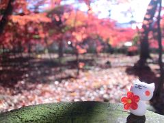 平林寺の紅葉♪～２０１７～