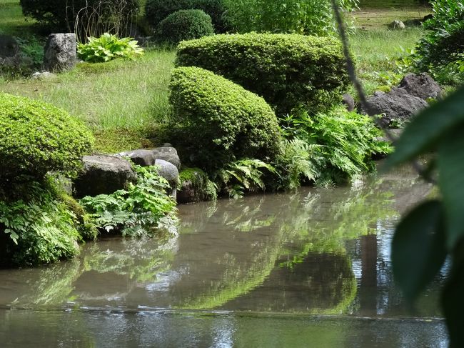 グルメ、ときどきサイエンス、一時避難勧告（その13：兼六園その２）