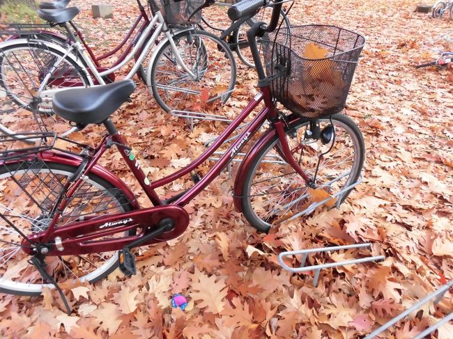 北海道 札幌、美唄、大沼公園あたりを、<br />列車バスを使って、<br />晩秋のうつろいを味わいました。<br />北海道開拓の村、北海道大学、<br />炭鉱で栄えた美唄のアートスポットや、大沼公園を散策します。