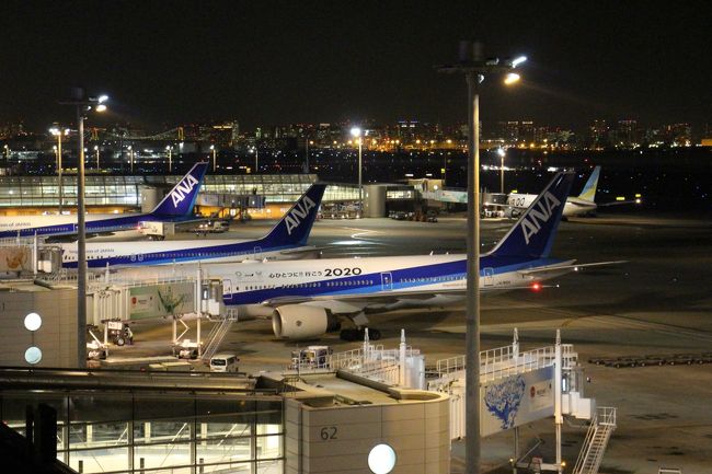 夜景やイルミネーションを楽しむのもこれがラスト。<br />今年も何度も利用した羽田空港。この時期は国内線ターミナルでクリスマスのデコレーション、国際線ターミナルでイルミネーションが行われている。23日~25日は国内線ターミナルでのイベントもあり楽しめる。<br />今回は、第2ターミナル、第1ターミナルで夜景とクリスマスデコレーションを楽しんだ後、国際線ターミナルに移動。<br />国際線ターミナルでは2月14日までイルミネーションが行われている。<br />sky illumination 誰も見たことのない光・・・<br />オジサンには似合わないけど、夜の空港は美しい。<br />昼間とは違い、光に和んだひと時・・・<br />夜の空港とイルミを少しだけ・・・お楽しみください。<br />