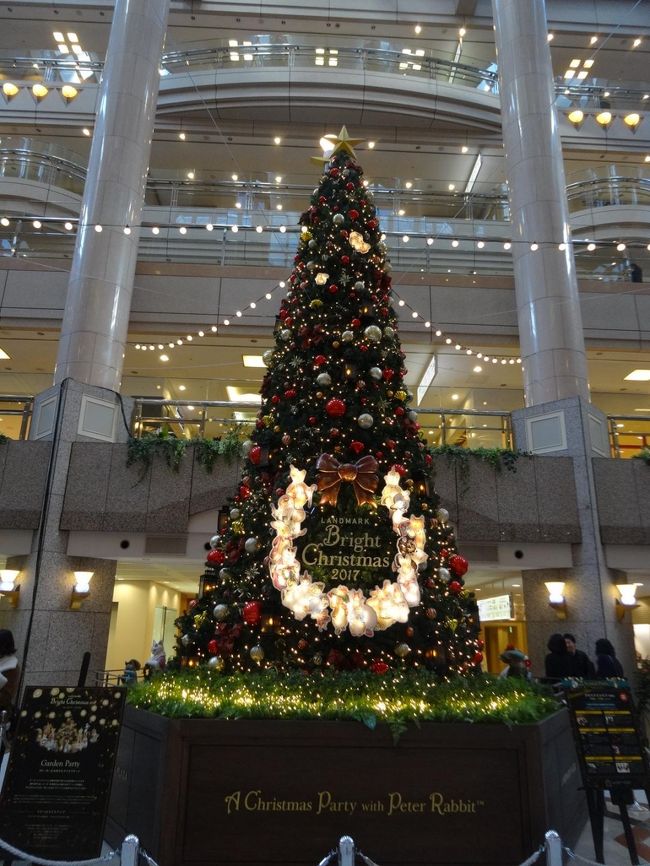 クリスマスの季節になると各地で立派なクリスマスツリーが飾られてニュースになっています。でもやっぱり横浜ランドマークのツリーが見たくて今年も妹たちを誘い見に行ってきました。