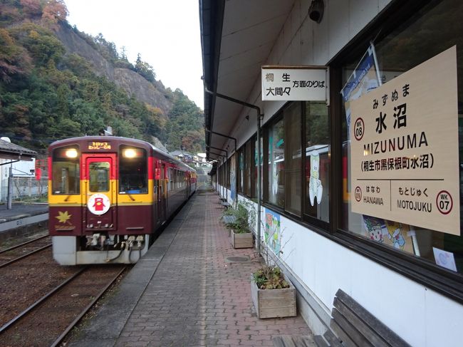 早朝、自宅を出発し、北関東の鉄道その他をぐるっと巡っています。<br /><br />足尾鉱山の元鉱山街や足尾線の廃線跡などを散策したあとやってきた間藤駅。<br />ここから、わたらせ渓谷鐵道、通称「わ鐵」に乗ります。<br /><br />わたらせ渓谷鐵道も元ＪＲ線で、第３セクター化された路線です。<br />渡良瀬川に沿った風光明媚な景色を売りにして、トロッコ列車を走らせたり、普通の列車にも団体さんを誘致したりと、増収に力を入れています。<br />私が乗った日も普通の平日でしたが、団体さんが多く乗車し賑わっていました。<br /><br />そんな「わ鐵」を、寄り道しながら桐生方面に向かいました。