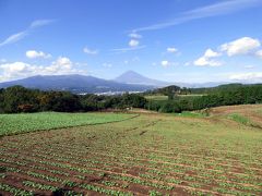 北海道らぁめん伝丸 三島徳倉店の昼食　三島市佐野体験農園 大根の収穫