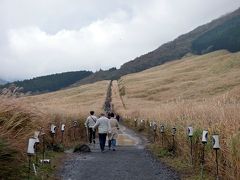 ０２．紅葉を楽しむＨＶＣ箱根甲子園２泊　仙石原すすき草原　紅葉が始まった仙石原の散歩道