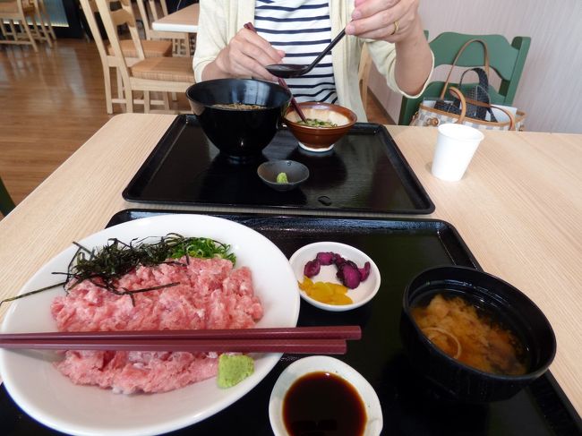 エアパーク 航空自衛隊 広報館見学の後は、どこかで鰻を食べよう思っていましたが、あっという間に東名高速のＩＣに着いてしまいました。<br /><br />そこで高速に乗って、牧の原ＳＡの海鮮うどん・そば 駿河の恵みで昼食を頂くことにしました。<br />