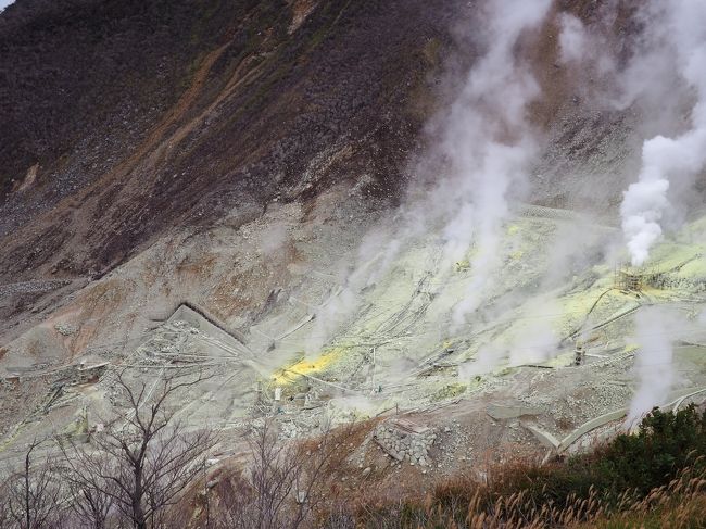 ２０１７年１０月７日、早朝の９時に、大涌谷に向かいました。相変わらずの火山ガスで、登山道は行けません。駅周辺を散策するだけです。今回も黒たまごを買いました。登山道に行けないとそろそろ飽きてきますね。ちなみに、駅周辺でも火山ガスの濃度が濃くなると放送が流れます。