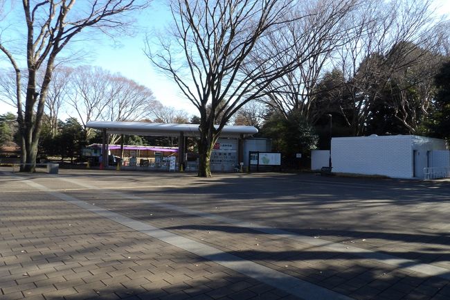 　深大寺の国宝仏を参拝する途中に神代植物公園に寄ってみた。タンポポについて詳しい人がいたら話を伺おうと思ったのだ。あいにく、今日は月曜日で休園日だ。しかし、一般公開はなされていなくても月曜日なので職員は来ているはずだ。駐車場向かいにある職員専用門でインターホンを押して要件を伝えると、初めからタンポポは詳しくないと言って担当者が出てきた。私が見付け出したシロバナタンポポの進化の話をしたが、話を聞いているだけで質問してくるわけでもない。どうやら、ここの植物公園の職員の中には新種の開発などを行っている人などいないようだ。栽培を専門とする職員ばかりのようだ。なるほど、入場料を徴収して植物を鑑賞できる施設のようであるから至極当然な気もする。<br />　私が見（みい）出した進化したシロバナタンポポである横浜タンポポとその突然変異種で黄花の横浜タンポポを育てたいのなら、受取人払いで送るがと聞くと、「こちらでは育てられないでしょうから。」と断られた。まだ若い職員であるから植物の進化や多様性については興味がないのだろう。<br />　目的の深大寺に向かった。<br />（表紙写真は神代植物公園正門）　　　<br /><br />