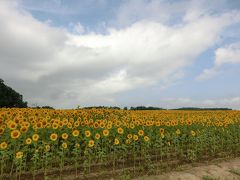 ２０１６年　小１と行く夏休みの北海道