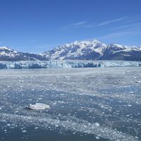 アラスカの雄大な氷河とインサイドパッセージクルージング　16日間