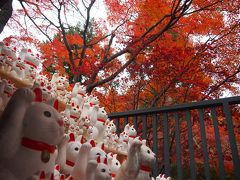 またイルミネーションを見に出かけたので、昼間は御朱印巡りでまた太子堂八幡神社と招き猫で有名な豪徳寺へ行ってきました