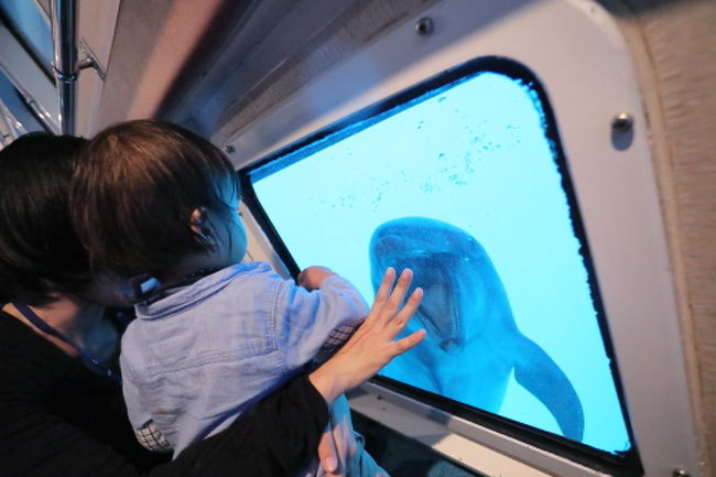 2歳の子供を連れて初めての旅行! 我が子は初めての飛行機!<br />ずっとホテルにいましたが、ホテルのアクティビティなどで満喫しました!<br />子連れ旅行は大変かと思ってましたが、こんなことなら、もっと早くに旅行に行けばよかった。<br />我が子が3歳になる前に、また行きたい!と考えてます。<br /><br />こちらはダイジェスト日記で、ものすごく詳細な日記は<br />↓こちらに書いてます。<br />http://maricobabylon.blog.fc2.com/blog-category-37.html<br /><br />これから行く方の参考になれば嬉しいです。<br />今回、5日間滞在しましたが、アクティビティ最高状況は2日は強風でほぼ全滅、1日は半分くらい催行、2日はだいたい催行というかんじでした。<br />
