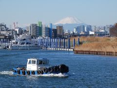 千葉と東京のウオーターフロント旧江戸川を歩く。