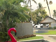 またまたバリ島へ、ロビナビーチLilin Lovina Beach滞在編